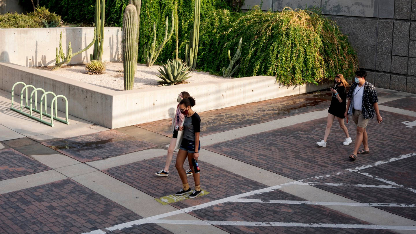 University Of Arizona, brick plaza, concrete planter, HD Desktop Wallpaper