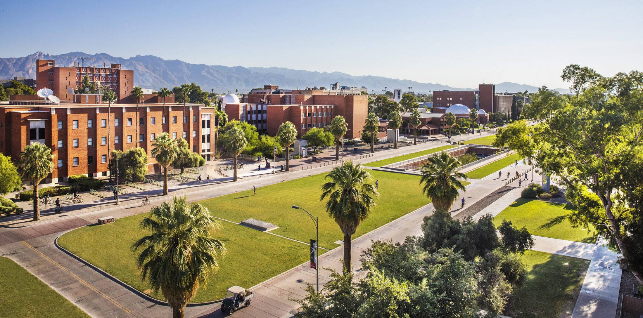 University Of Arizona, red brick buildings, palm trees, Full HD Desktop Wallpaper