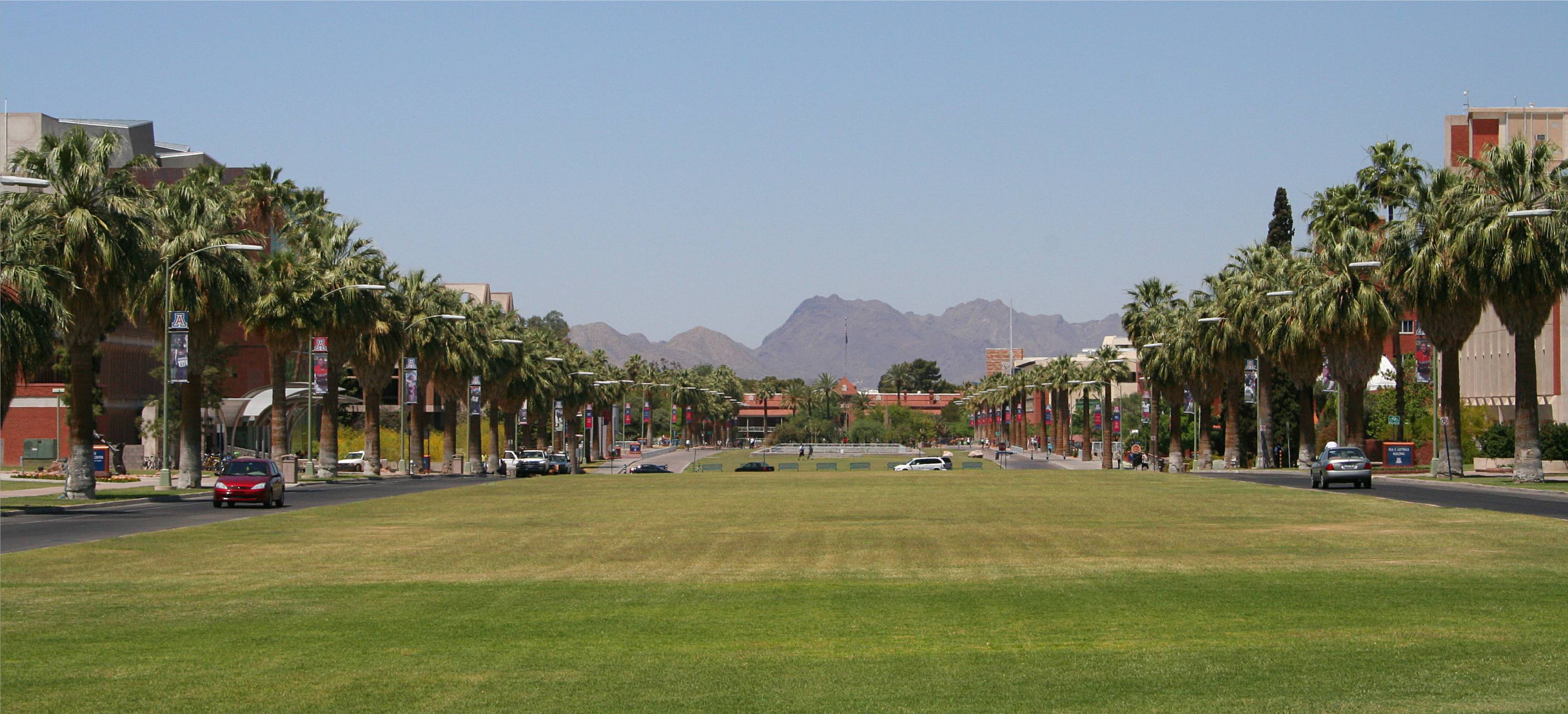 University Of Arizona, field, green lawn, 2K Desktop Wallpaper