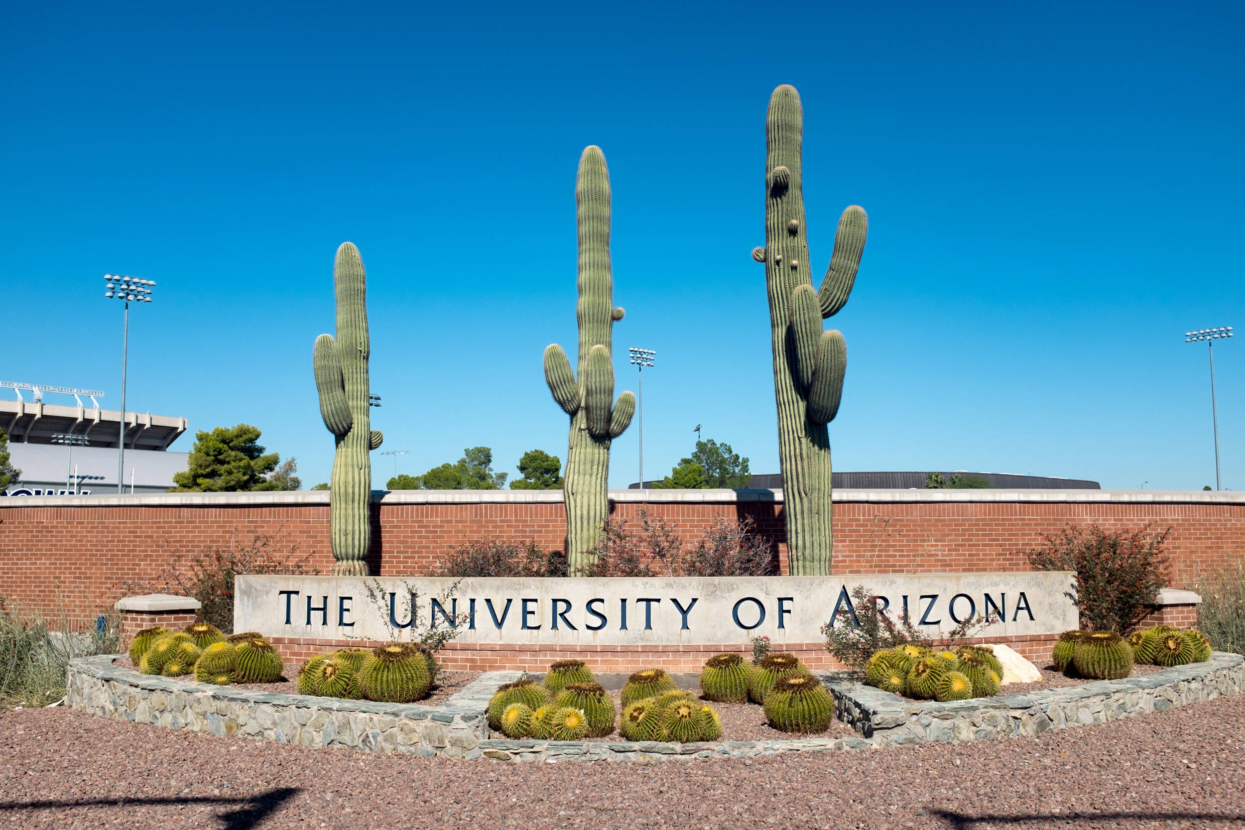 University of Arizona, saguaro cacti, barrel cacti, Full HD Desktop Wallpaper