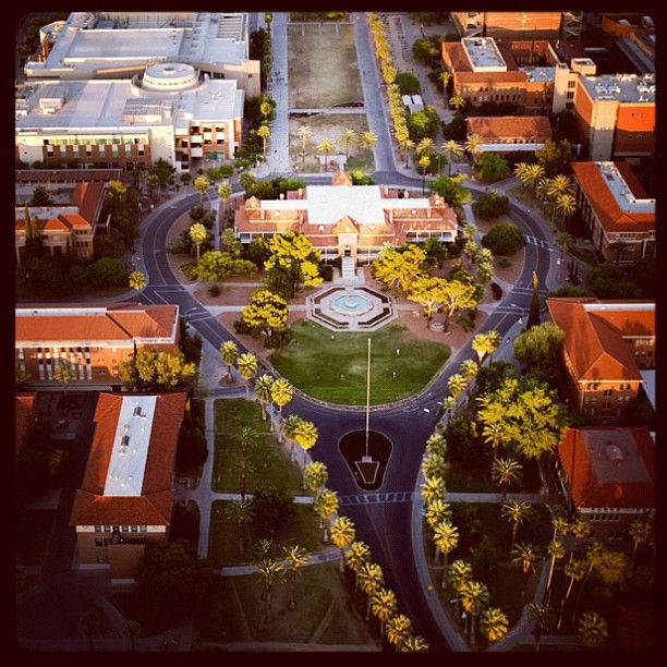 University Of Arizona, red-roofed buildings, palm trees, SD Desktop Wallpaper