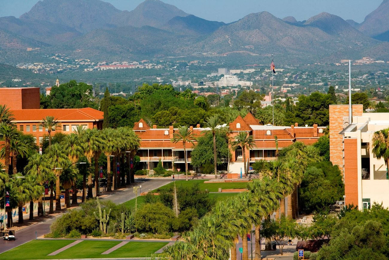 University Of Arizona, palm trees, terracoa-roofed buildings, HD Desktop Wallpaper
