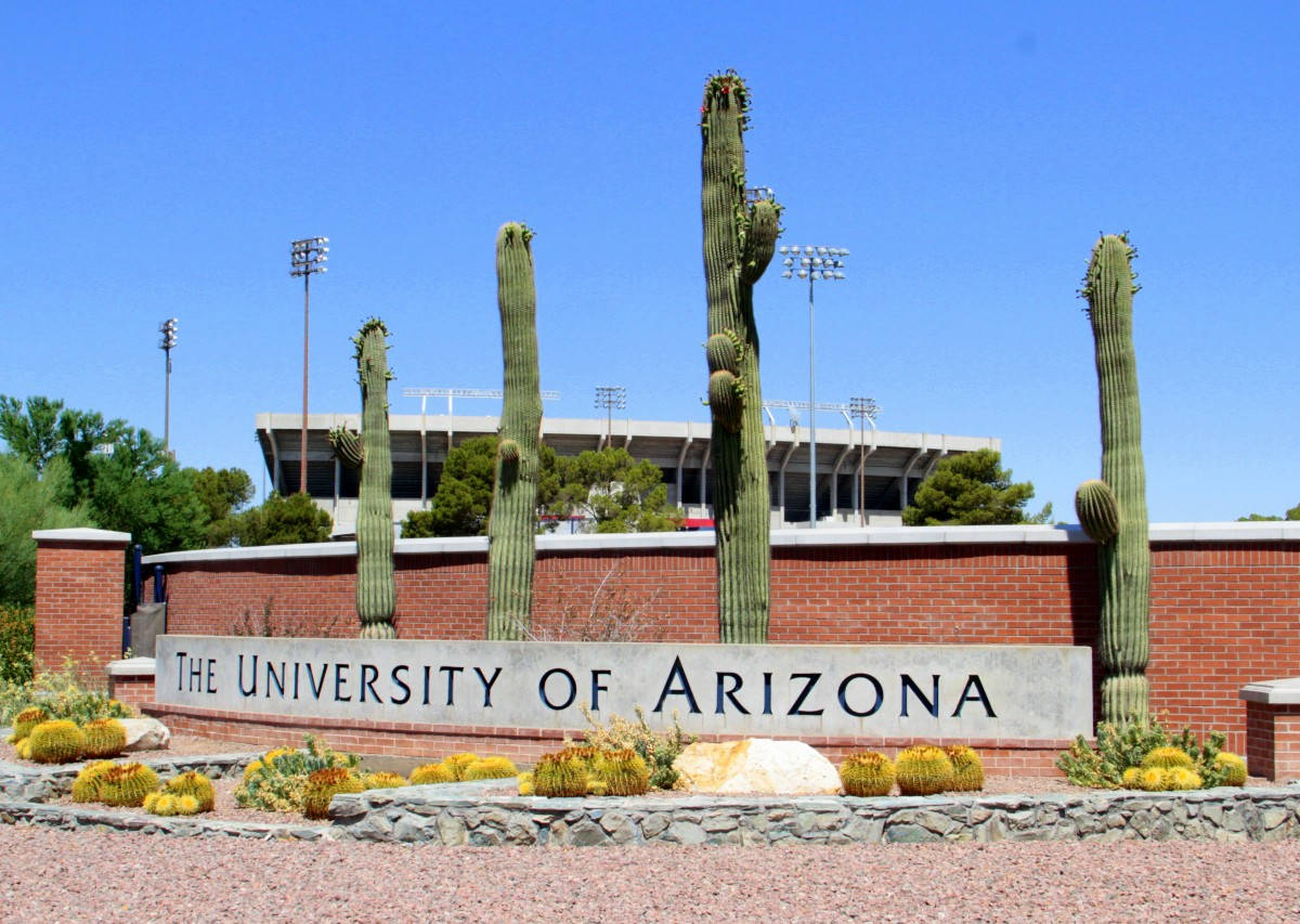 University Of Arizona Stadium, University of Arizona, saguaro cacti, SD Desktop Wallpaper
