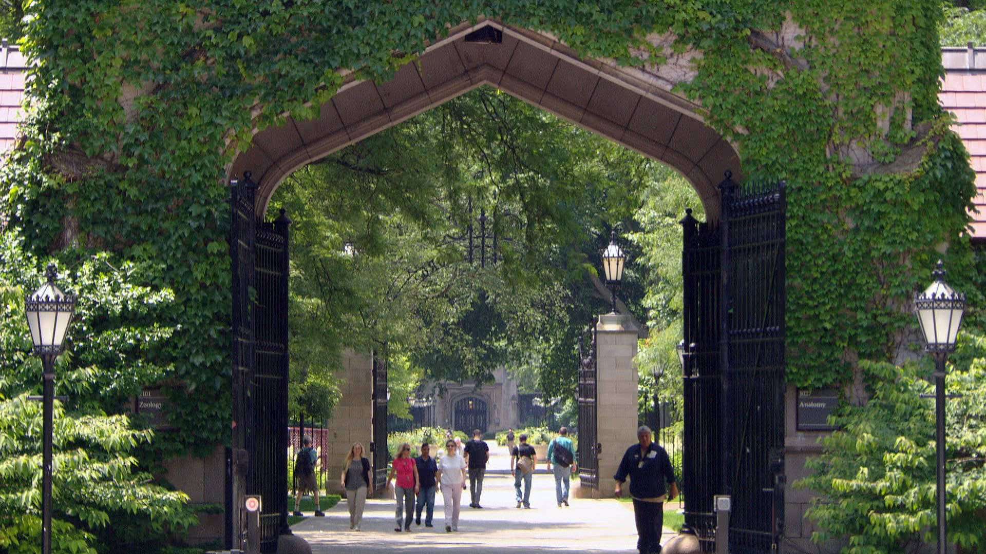 University Of Chicago, stone archway, lush green ivy, Full HD Desktop Wallpaper