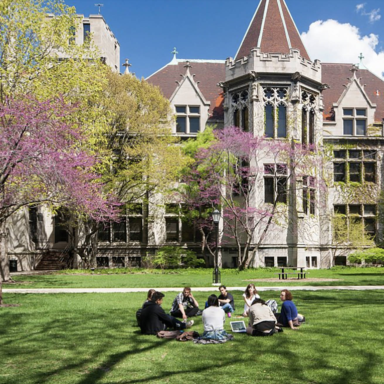 University of Chicago, Gothic-style university building, sunlit lawn, HD Desktop Wallpaper