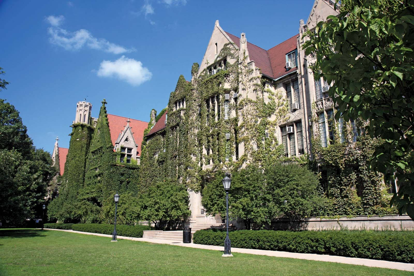 University Of Chicago, ivy-covered gothic university building, red roofs, HD Desktop Wallpaper