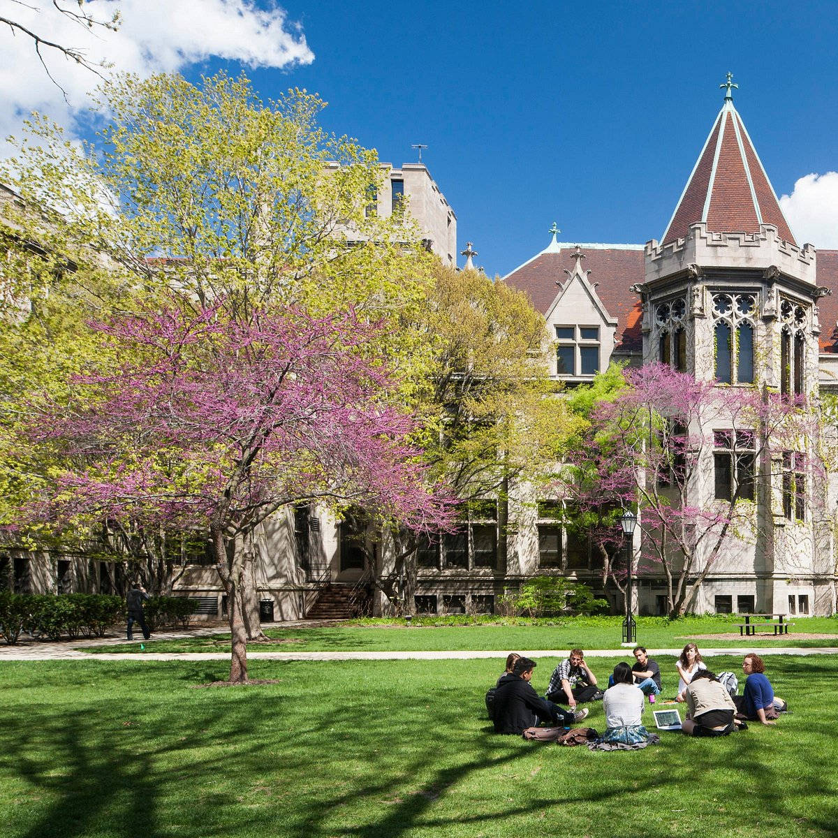 University Of Chicago, spring, sunlit campus lawn, SD Desktop Wallpaper