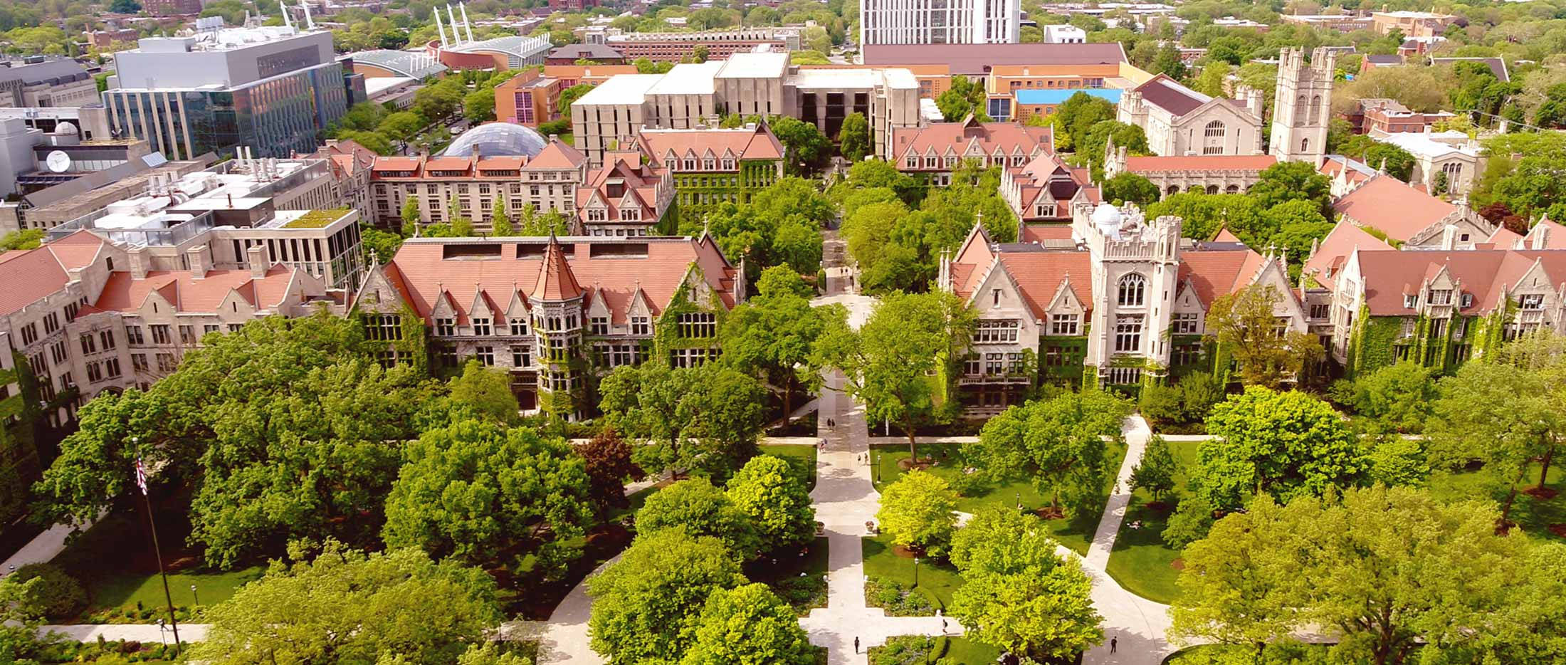 University Of Chicago, Gothic-style buildings, lush green trees, Full HD Desktop Wallpaper