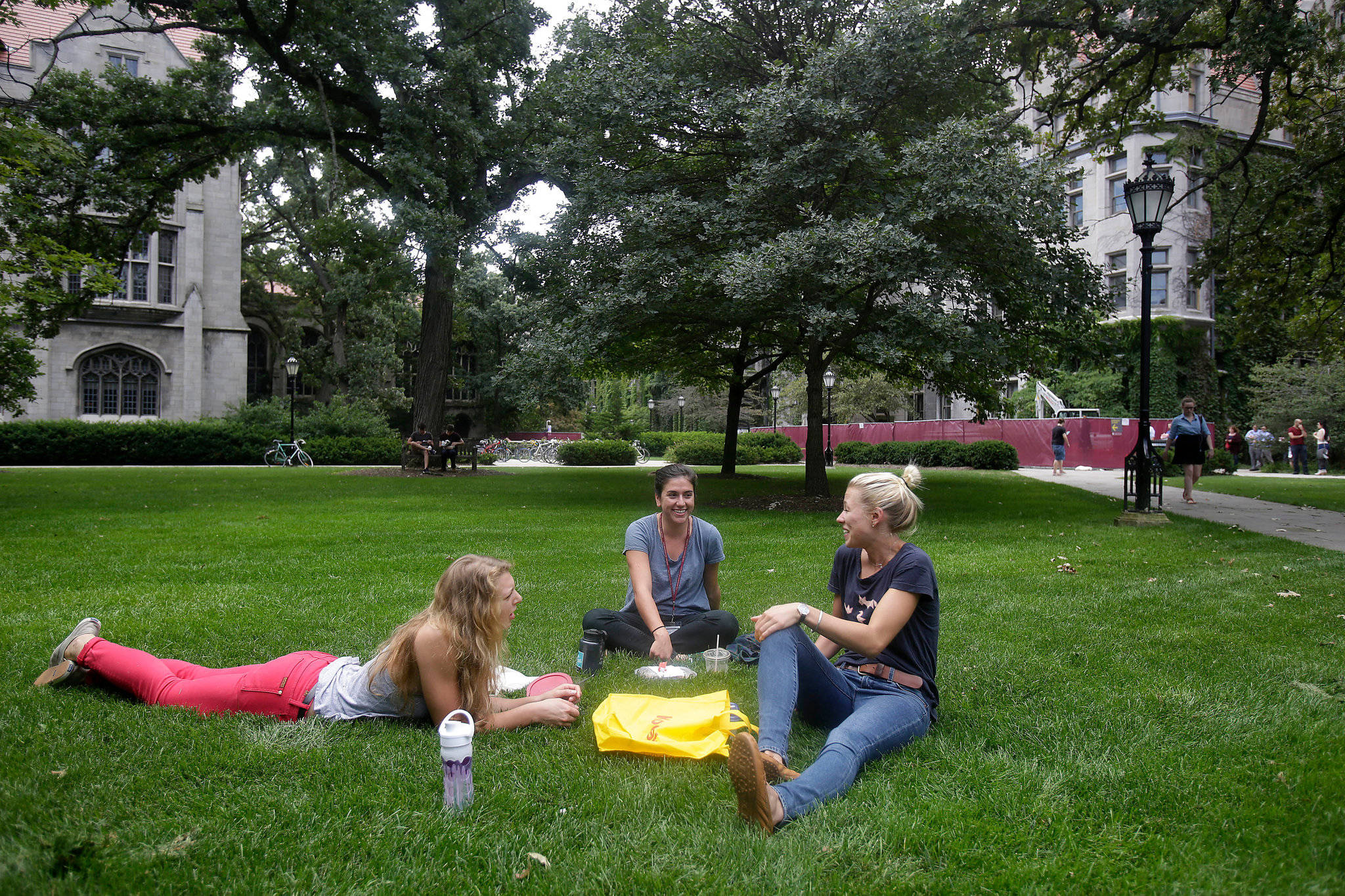 University Of Chicago, green lawn, trees, Full HD Desktop Wallpaper