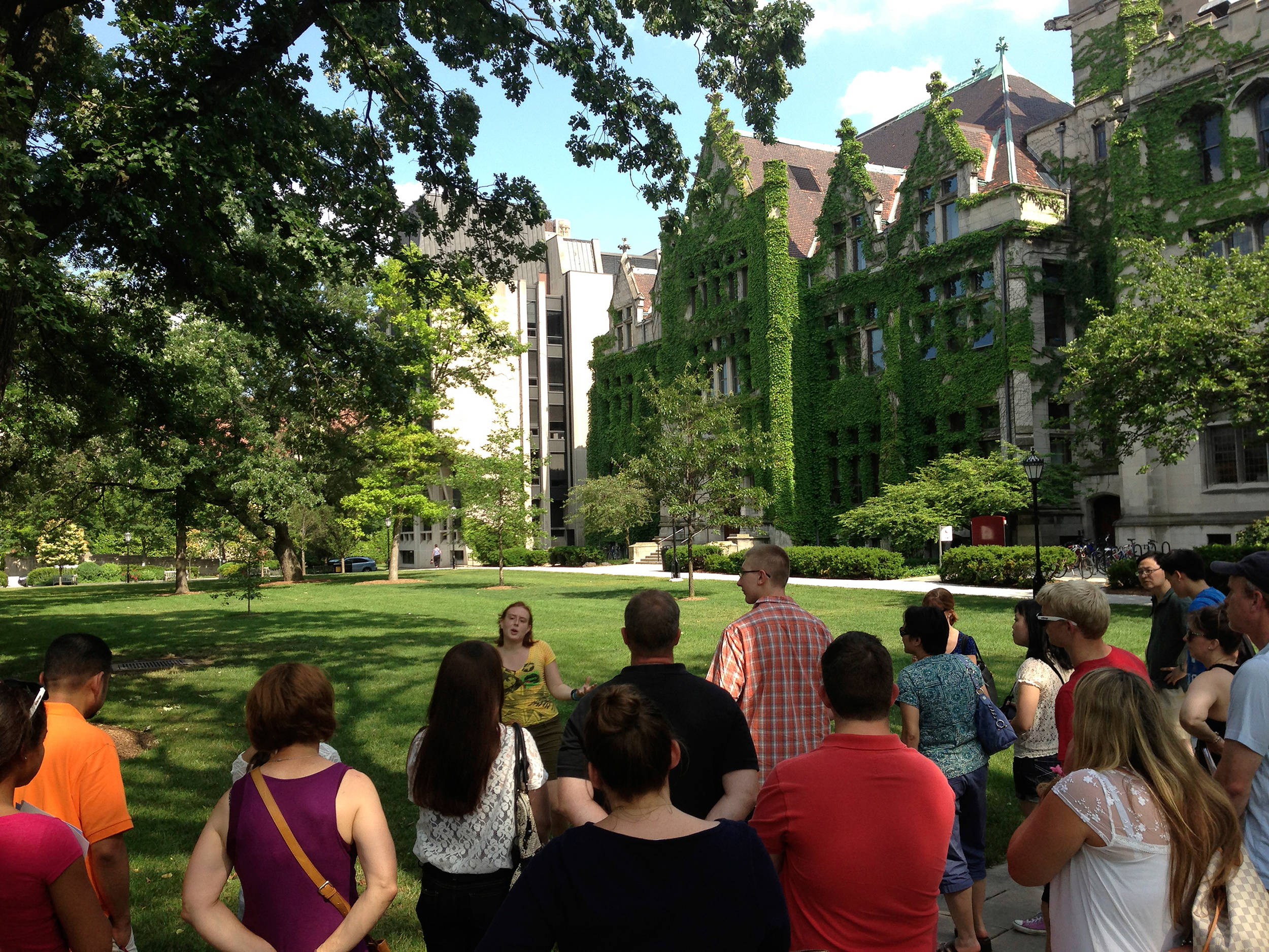 University Of Chicago, campus lawn, leafy trees, Full HD Desktop Wallpaper