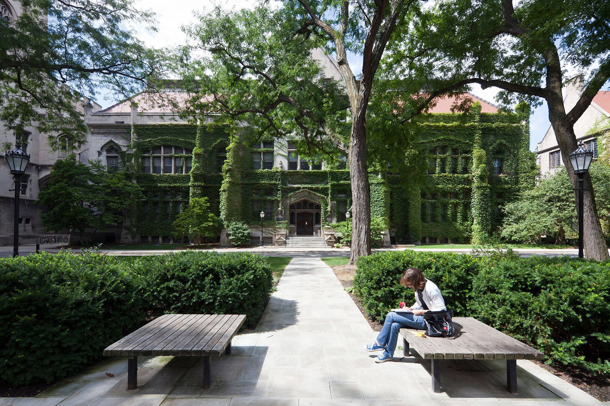 University Of Chicago, wooden bench, leafy trees, Full HD Desktop Wallpaper