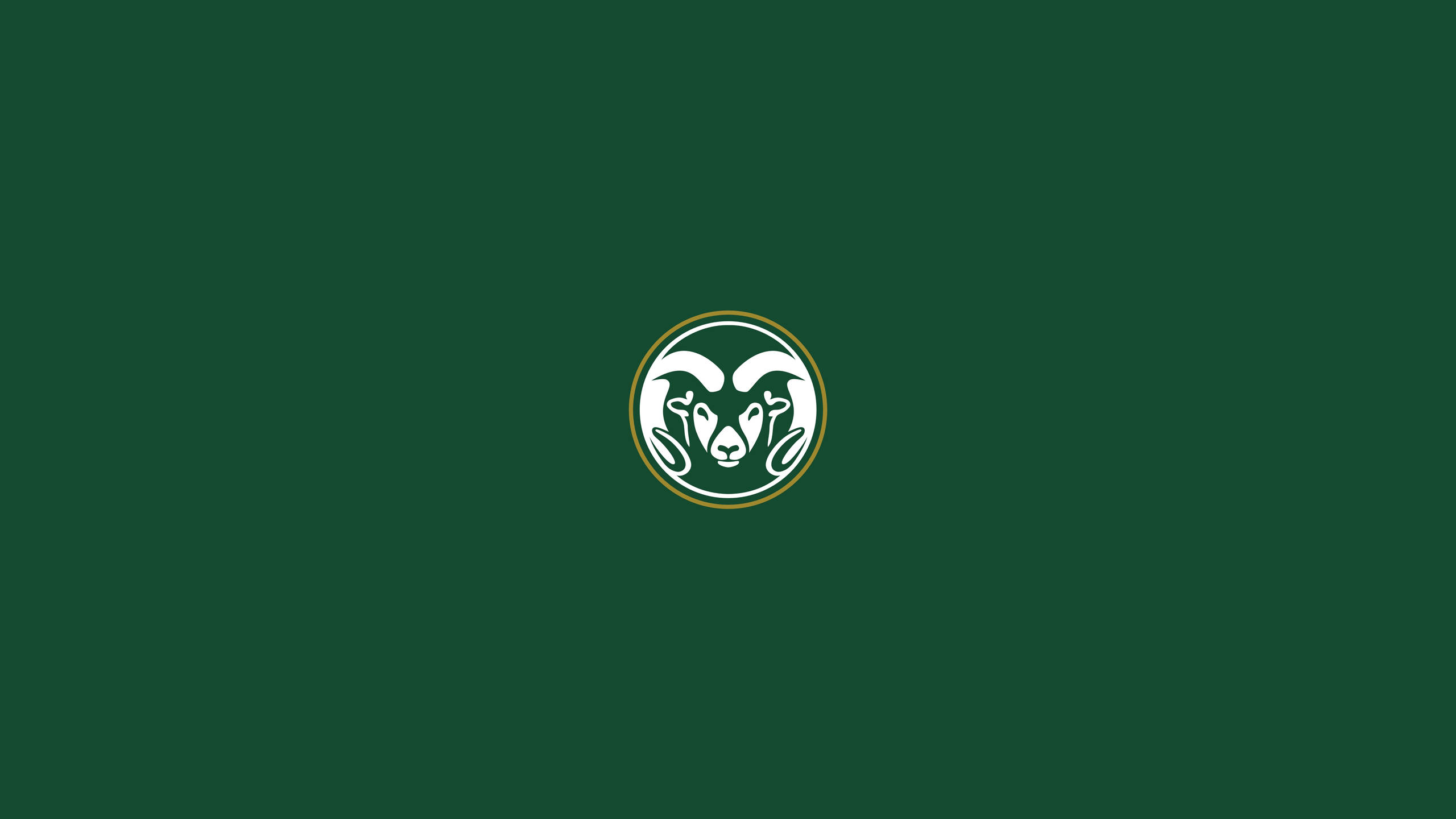 University Of Colorado At Boulder, buffalo icon, white ram logo, 2K Desktop Wallpaper