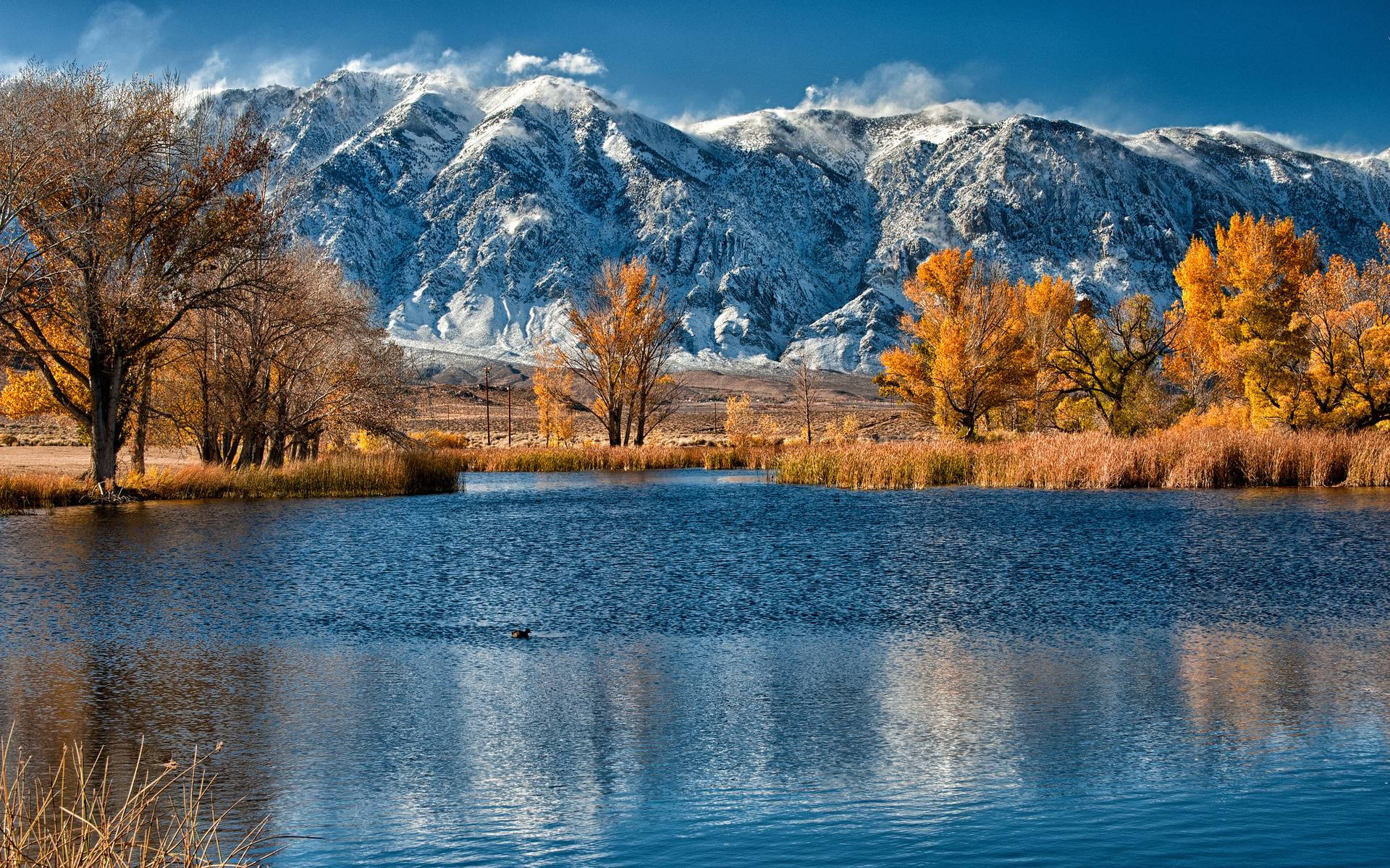 University Of Colorado At Boulder, autumn, lake, Full HD Desktop Wallpaper