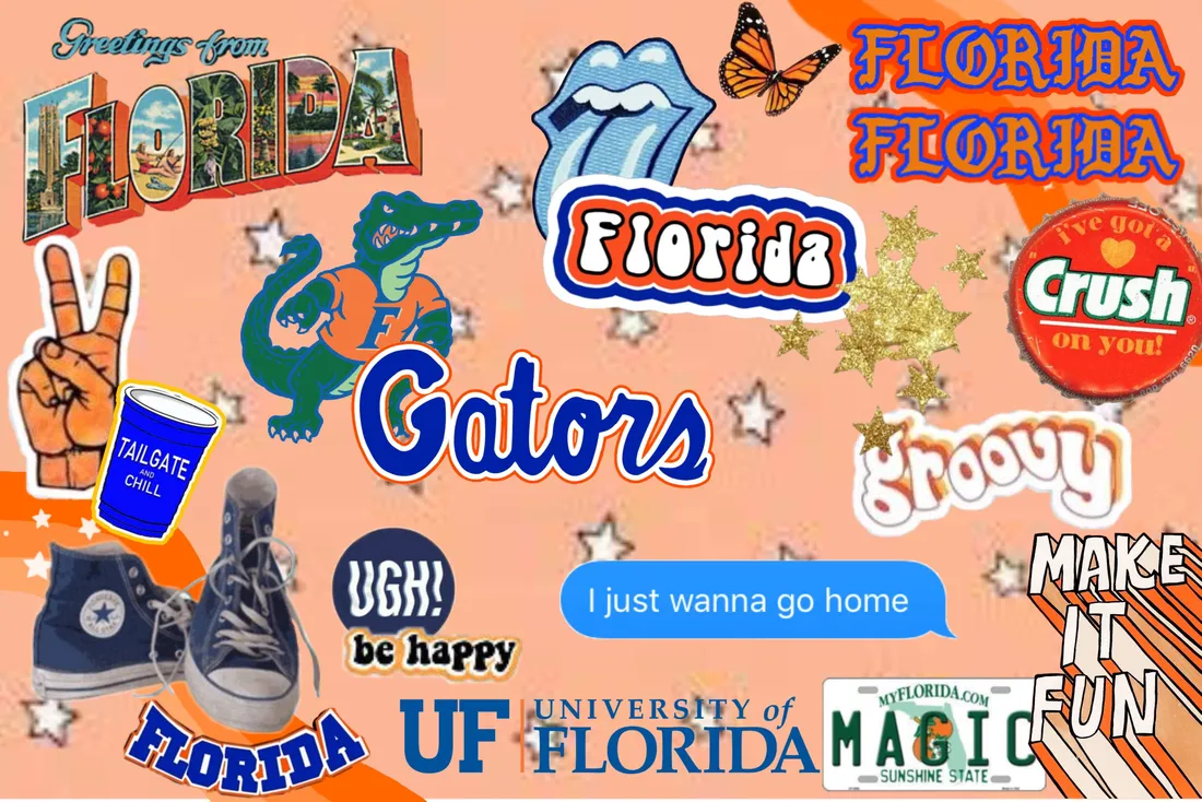 University Of Florida