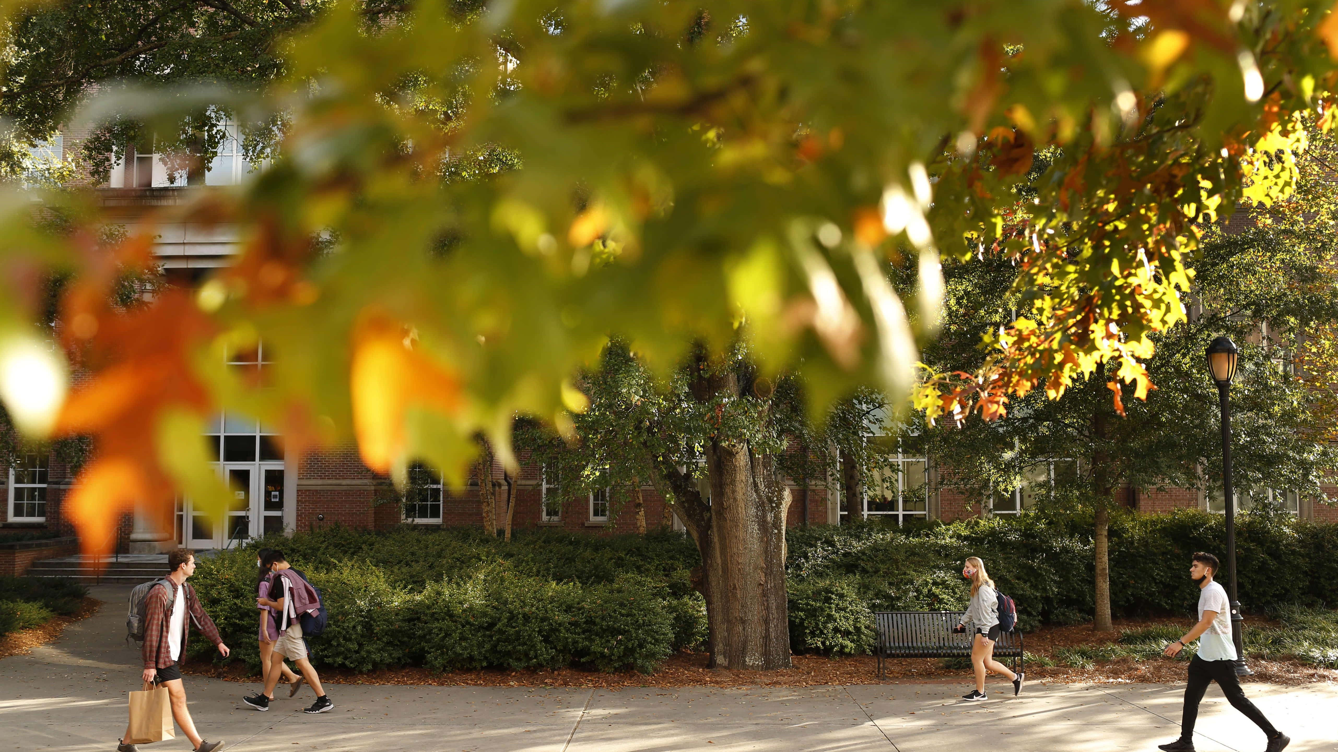 University Of Georgia, autumn, sunlit campus pathway, 5K Desktop Wallpaper