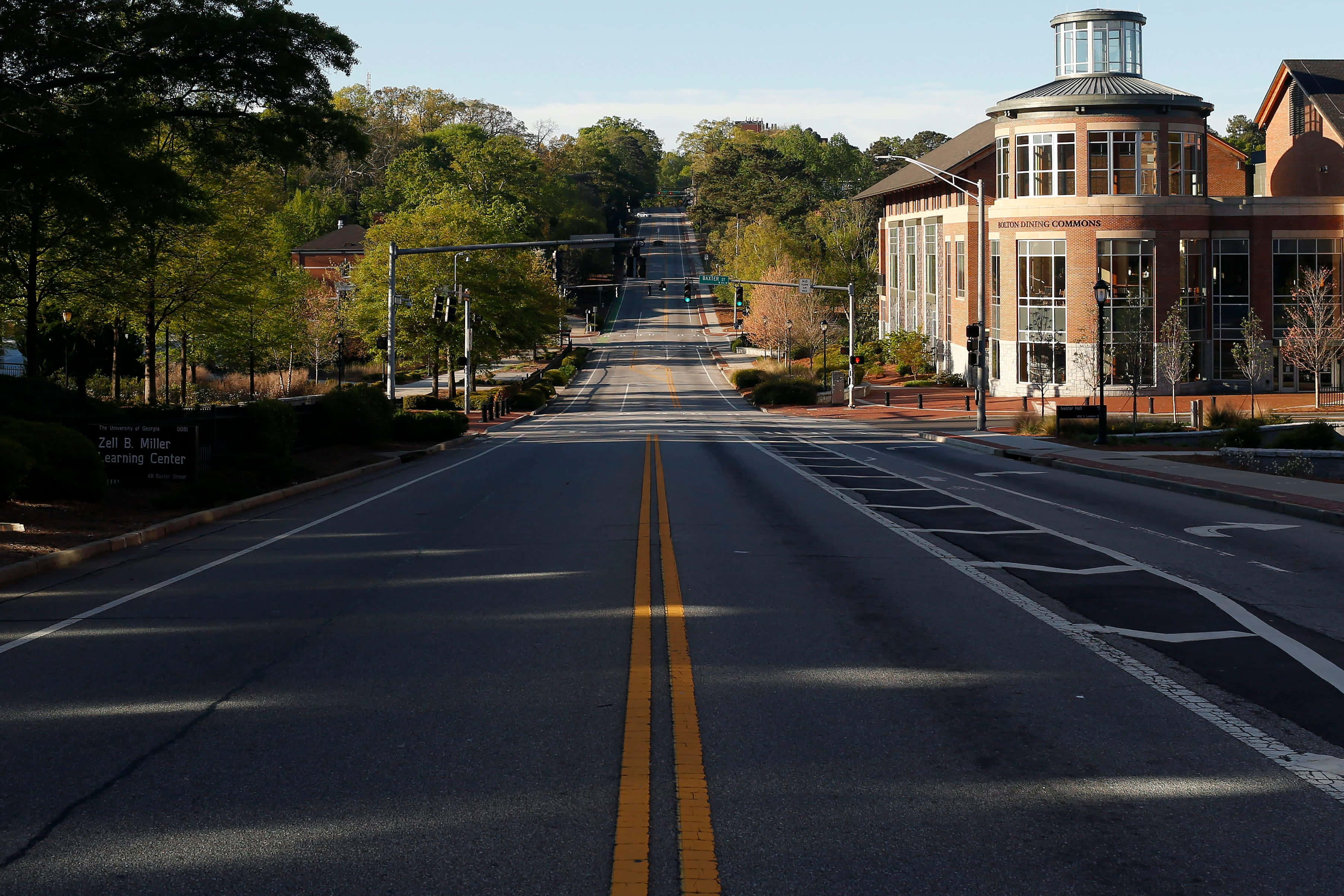 University Of Georgia, tree-lined street, modern brick building, 2K Desktop Wallpaper
