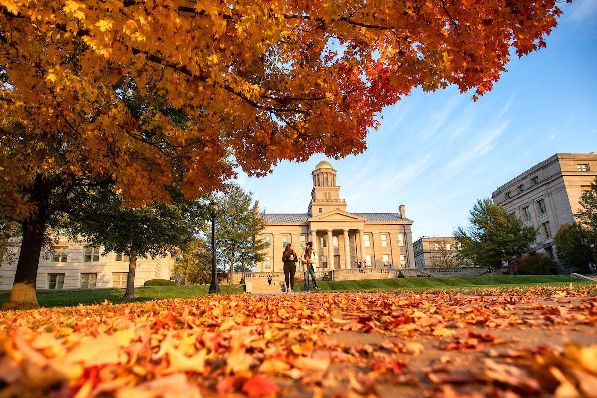 University Of Iowa, autumn, vibrant orange leaves, SD Desktop Wallpaper