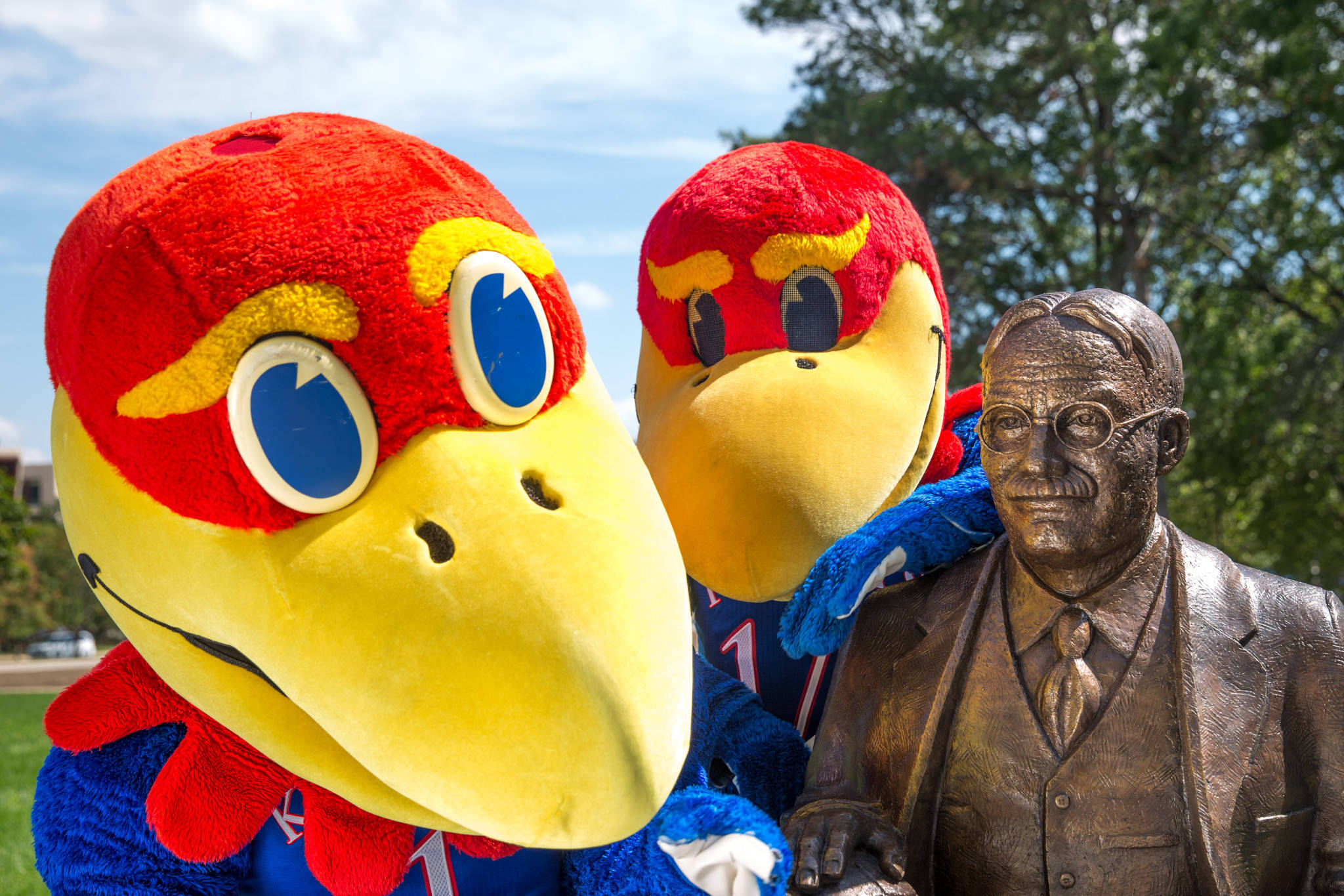 University Of Kansas, mascots, bronze statue, Full HD Desktop Wallpaper