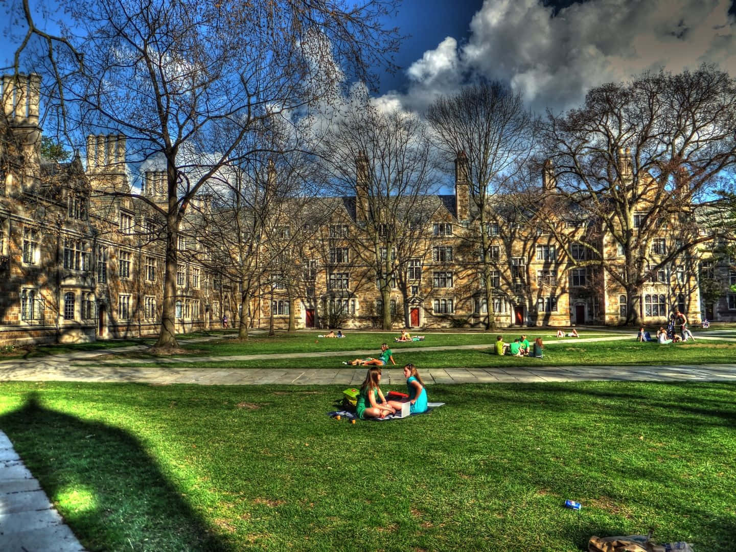 University of Michigan, vibrant green grass, bare trees, HD Desktop Wallpaper