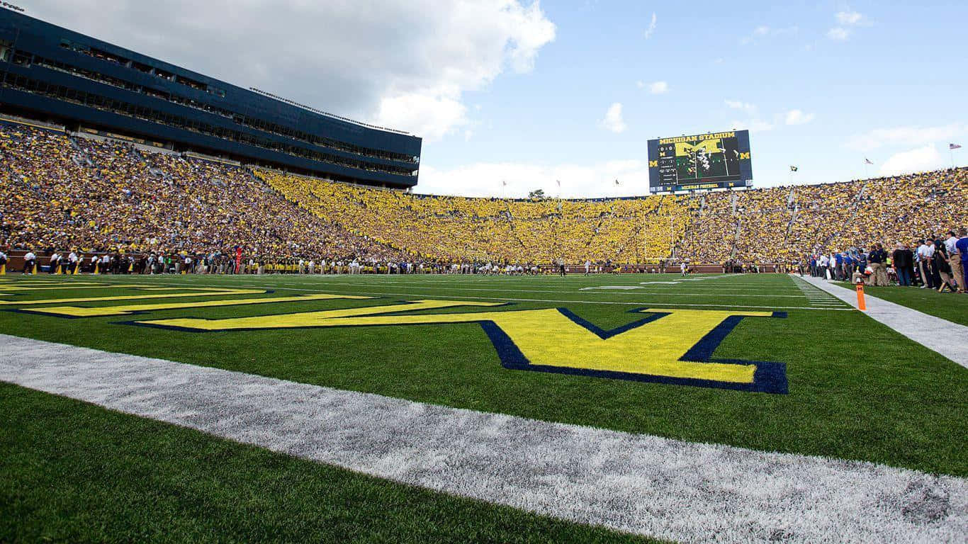 University Of Michigan, football field, crowd, HD Desktop Wallpaper