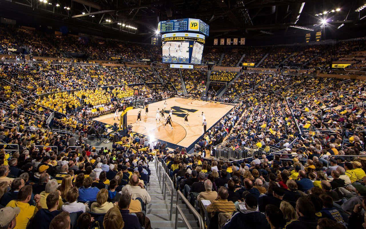 University Of Michigan, basketball arena, yellow, HD Desktop Wallpaper
