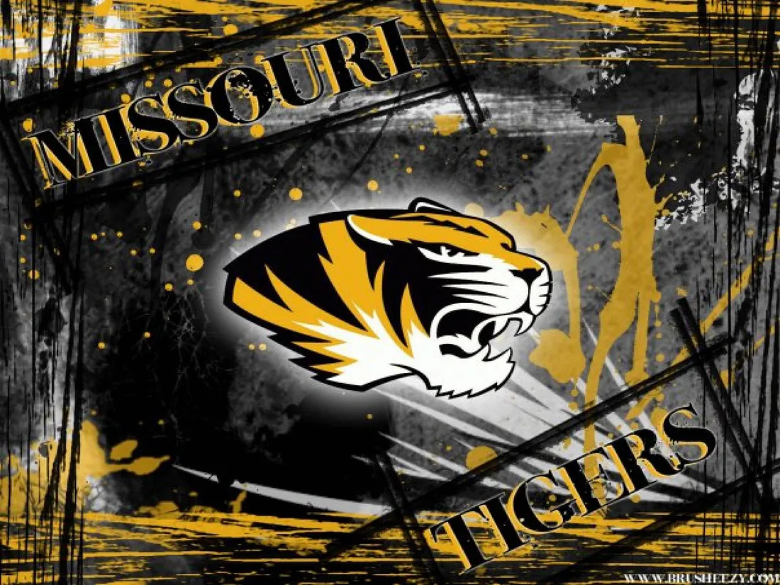 University Of Missouri