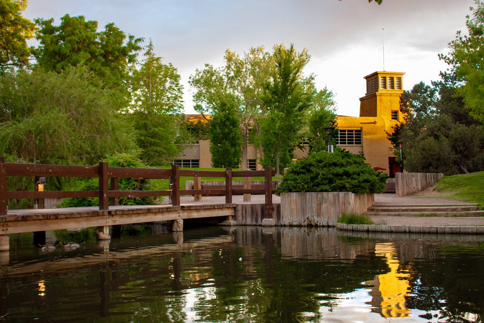 University Of New Mexico, duck pond, wooden bridge, HD Desktop Wallpaper