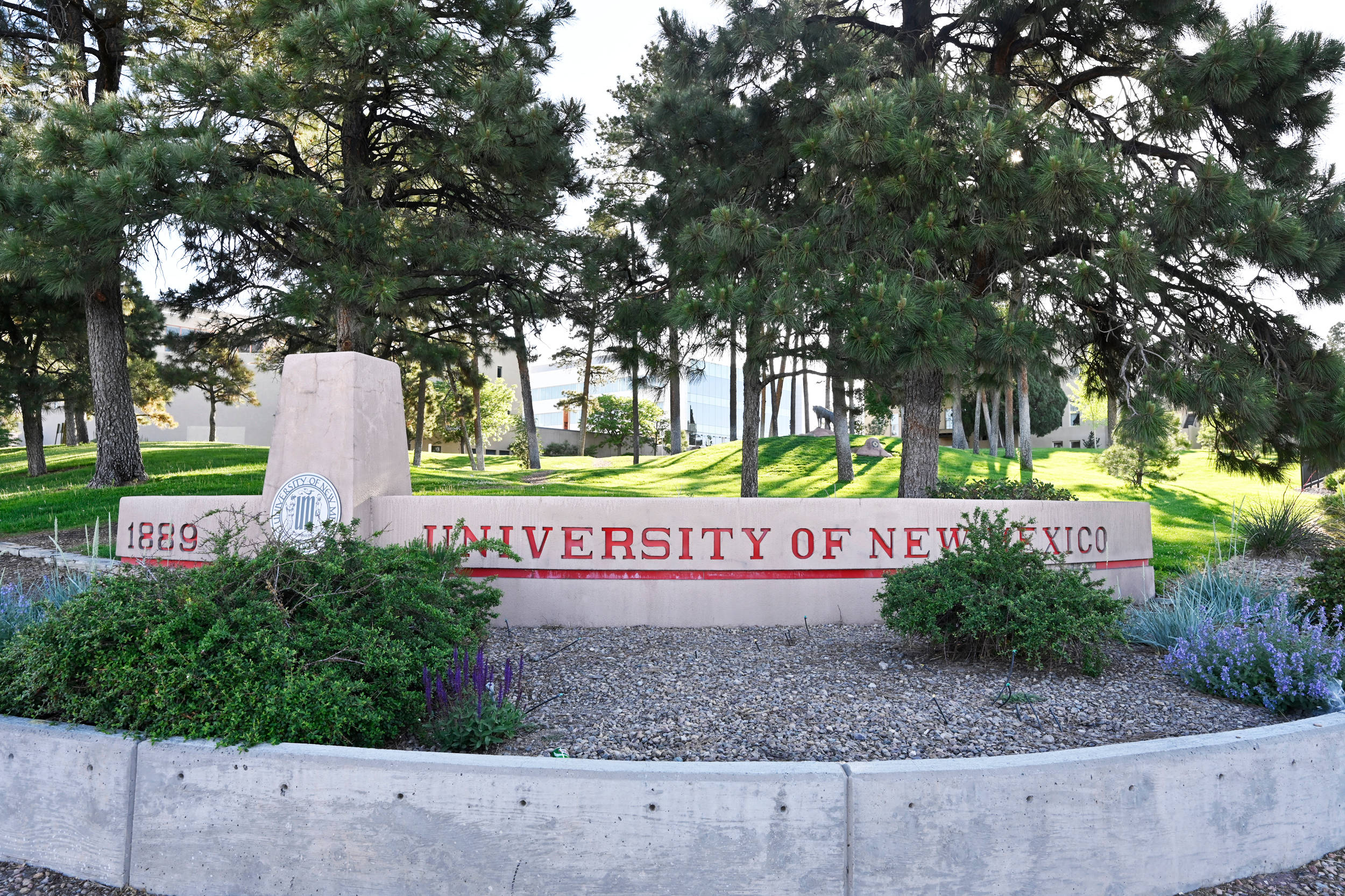 University of New Mexico, stone sign, grassy area, Full HD Desktop Wallpaper