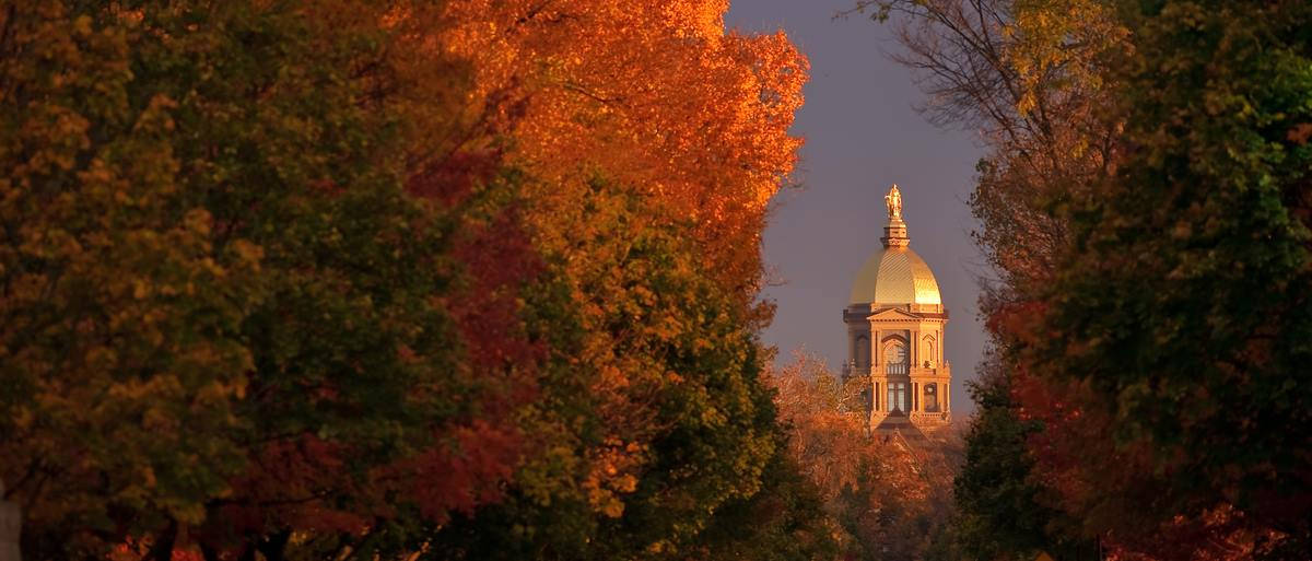 University Of Notre Dame, golden-domed building, autumnal forest, SD Desktop Wallpaper
