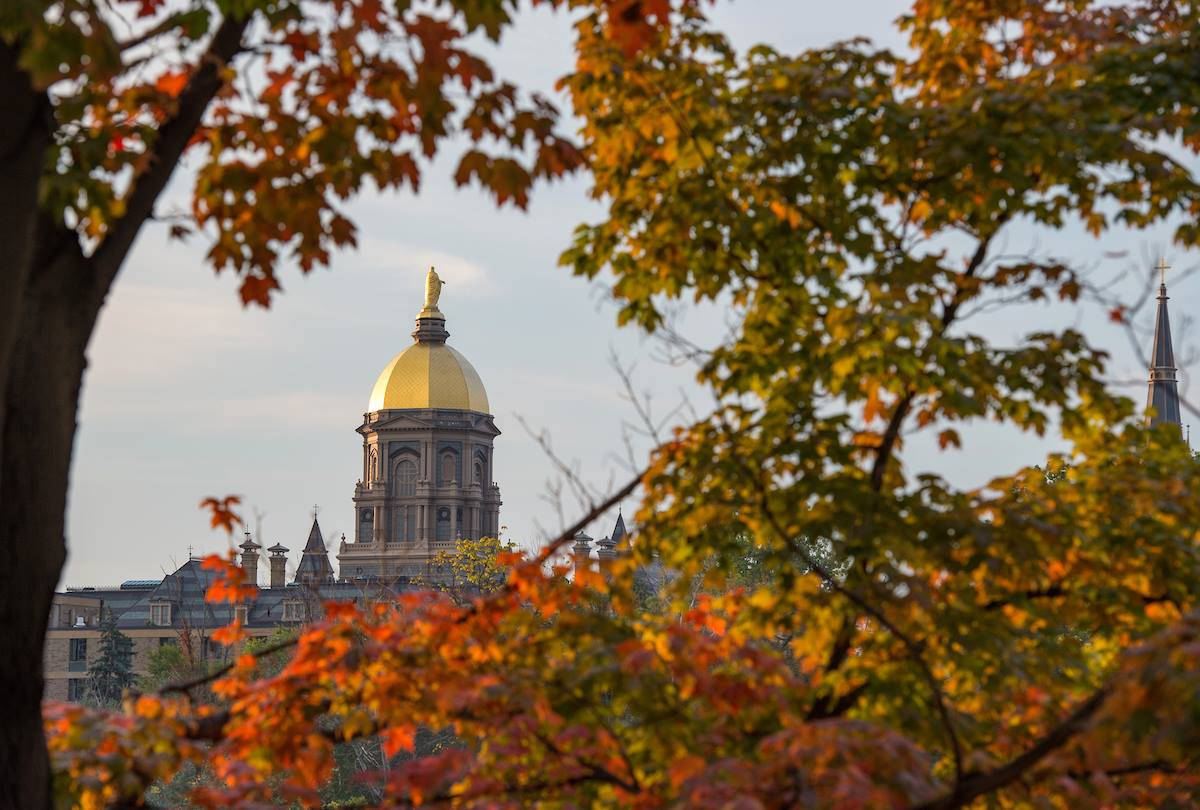 University Of Notre Dame, golden-domed cathedral, autumn leaves, SD Desktop Wallpaper