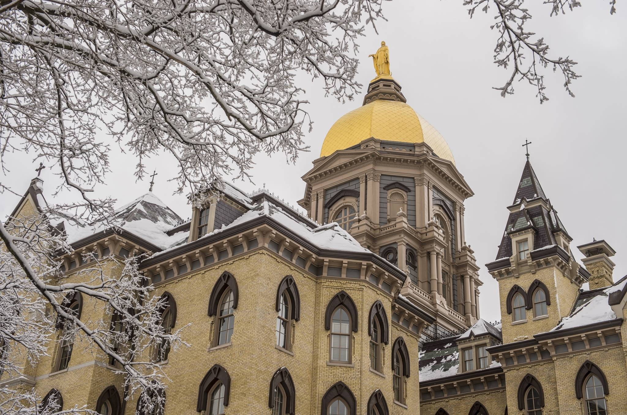 University Of Notre Dame, golden dome, snow-covered branches, Full HD Desktop Wallpaper