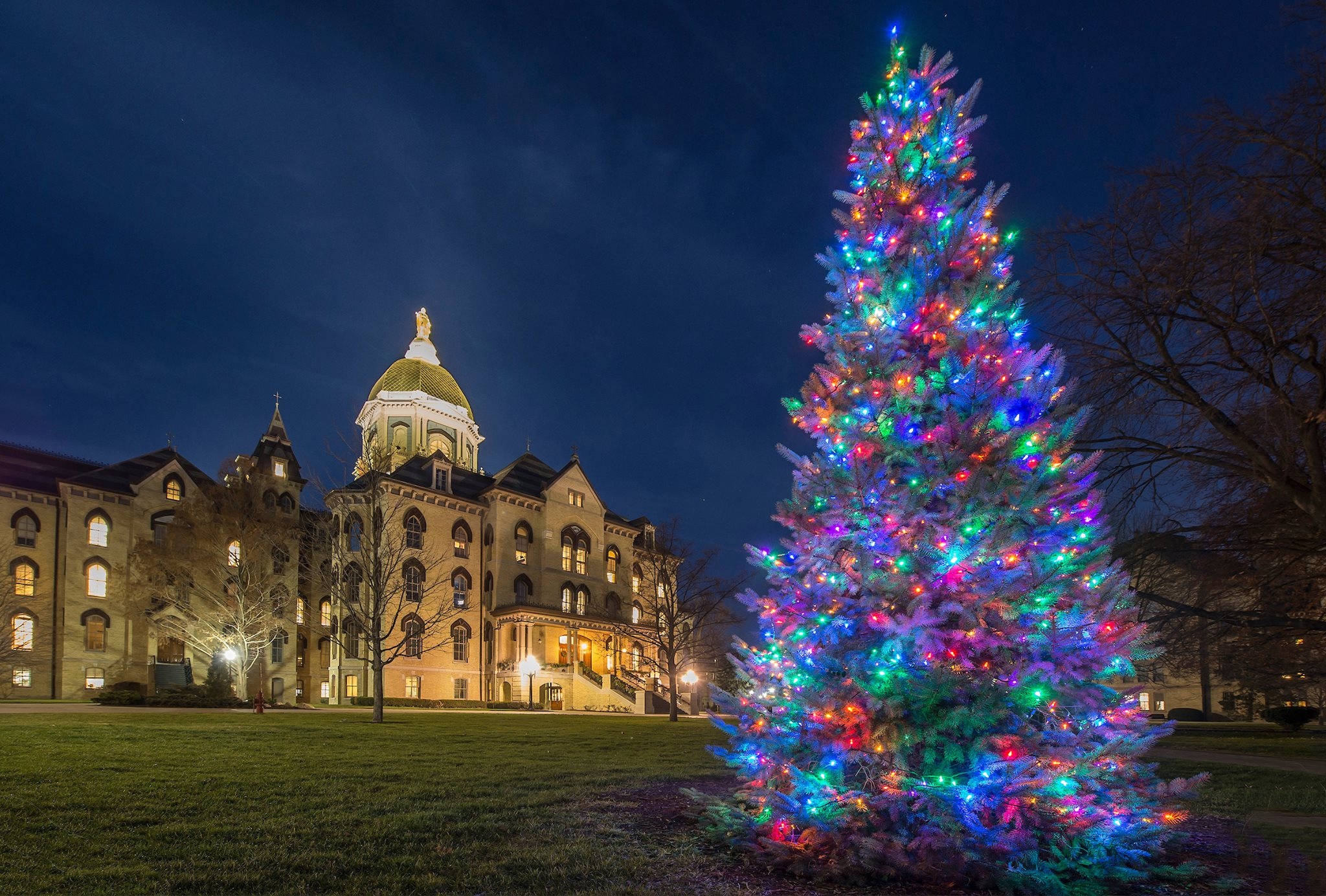 University Of Notre Dame, Christmas tree, multicolored lights, Full HD Desktop Wallpaper