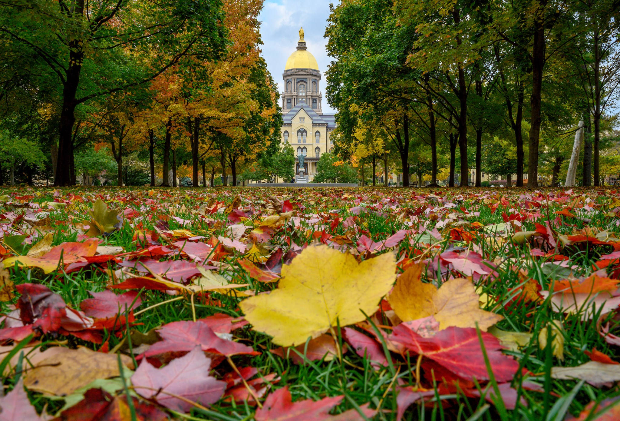 University Of Notre Dame, golden-domed cathedral, tree-lined path, Full HD Desktop Wallpaper