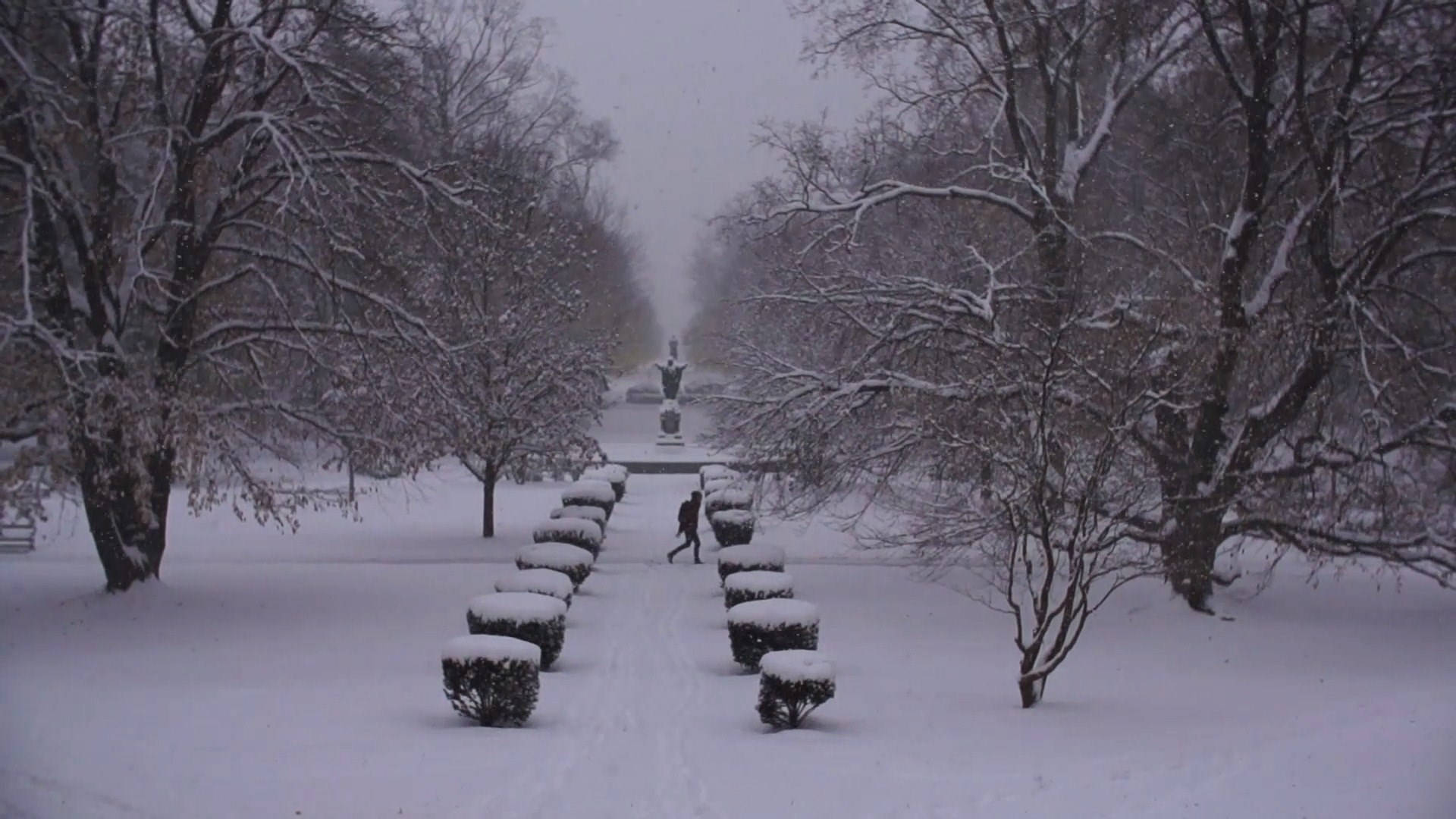 University Of Notre Dame, snow-covered garden path, bare trees, Full HD Desktop Wallpaper