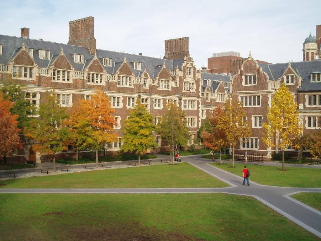 University Of Pennsylvania, brick university courtyard, autumn trees, SD Desktop Wallpaper