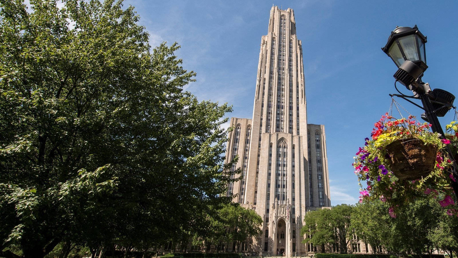 University Of Pittsburgh, Gothic-style university building, clear blue sky, HD Desktop Wallpaper