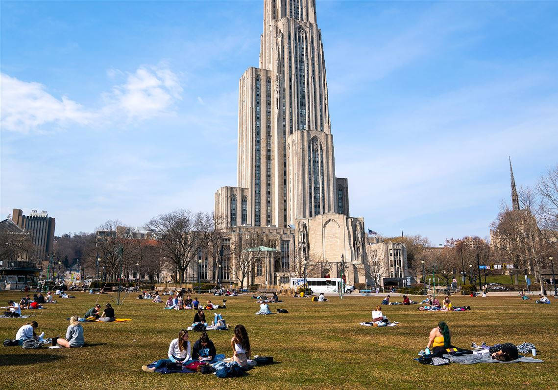 University Of Pittsburgh, Gothic-style university building, sunny grassy field, SD Desktop Wallpaper