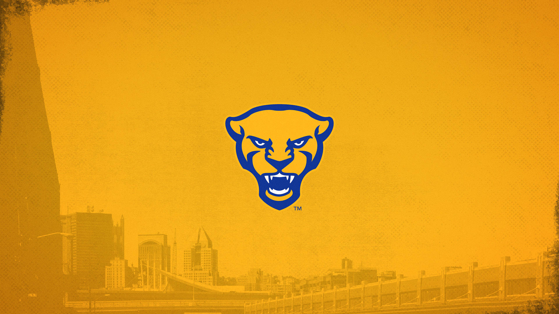 University Of Pittsburgh, yellow panther, blue panther logo, Full HD Desktop Wallpaper