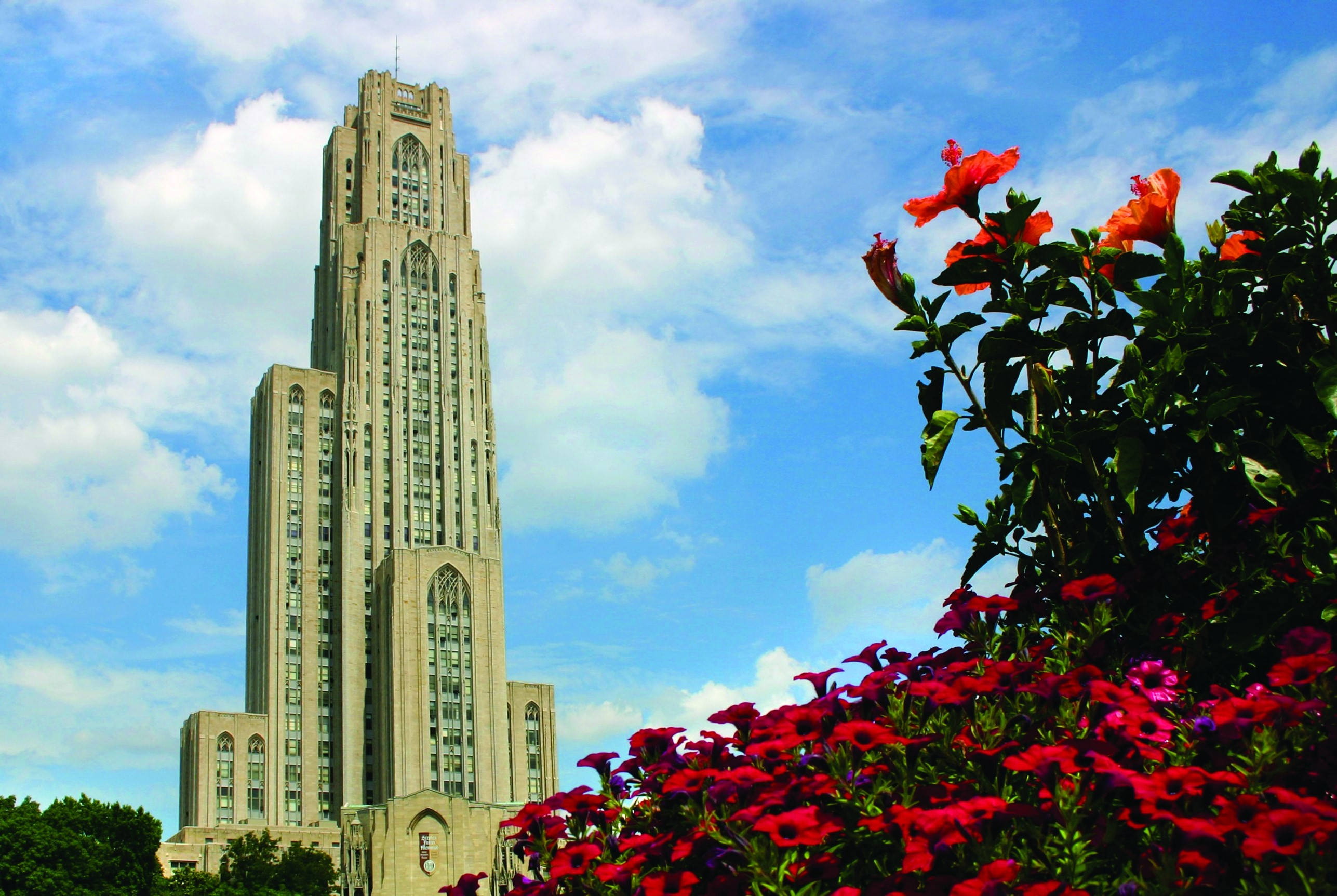 University Of Pittsburgh, Gothic-style university tower, bright blue sky, 2K Desktop Wallpaper