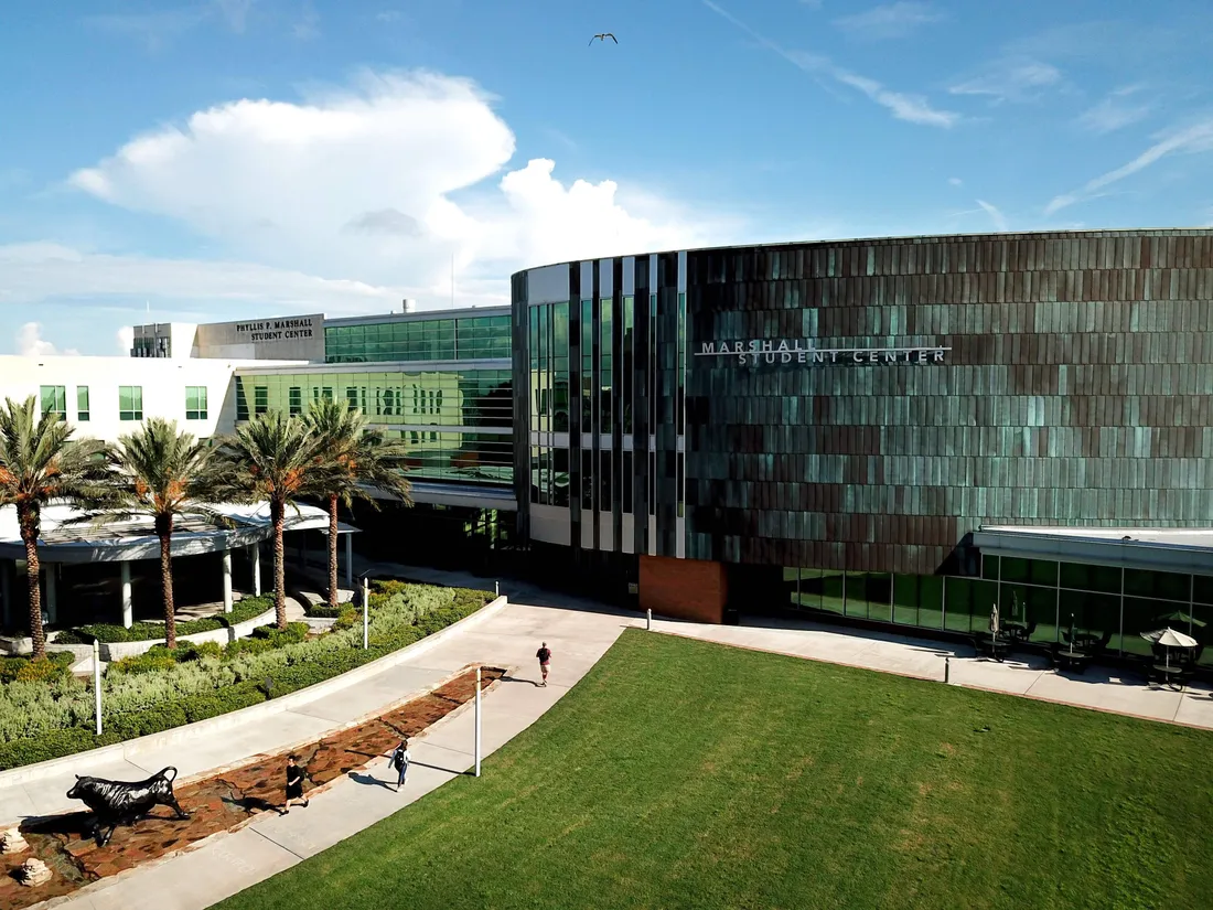 University Of South Florida