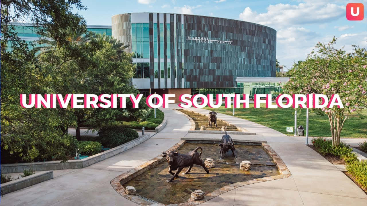 University Of South Florida, curved glass building, bronze bull statues, HD Desktop Wallpaper