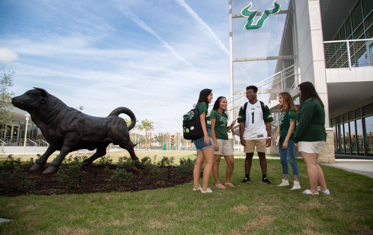 University Of South Florida, green and white gear, bronze bull statue, SD Desktop Wallpaper