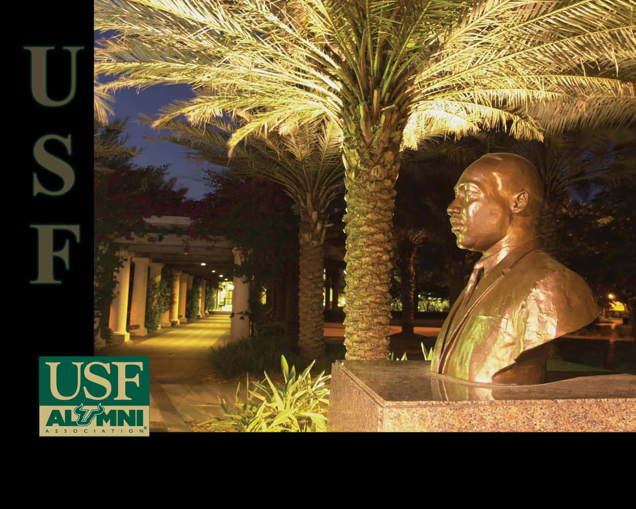 University Of South Florida, alumni statue, bronze bust, HD Desktop Wallpaper
