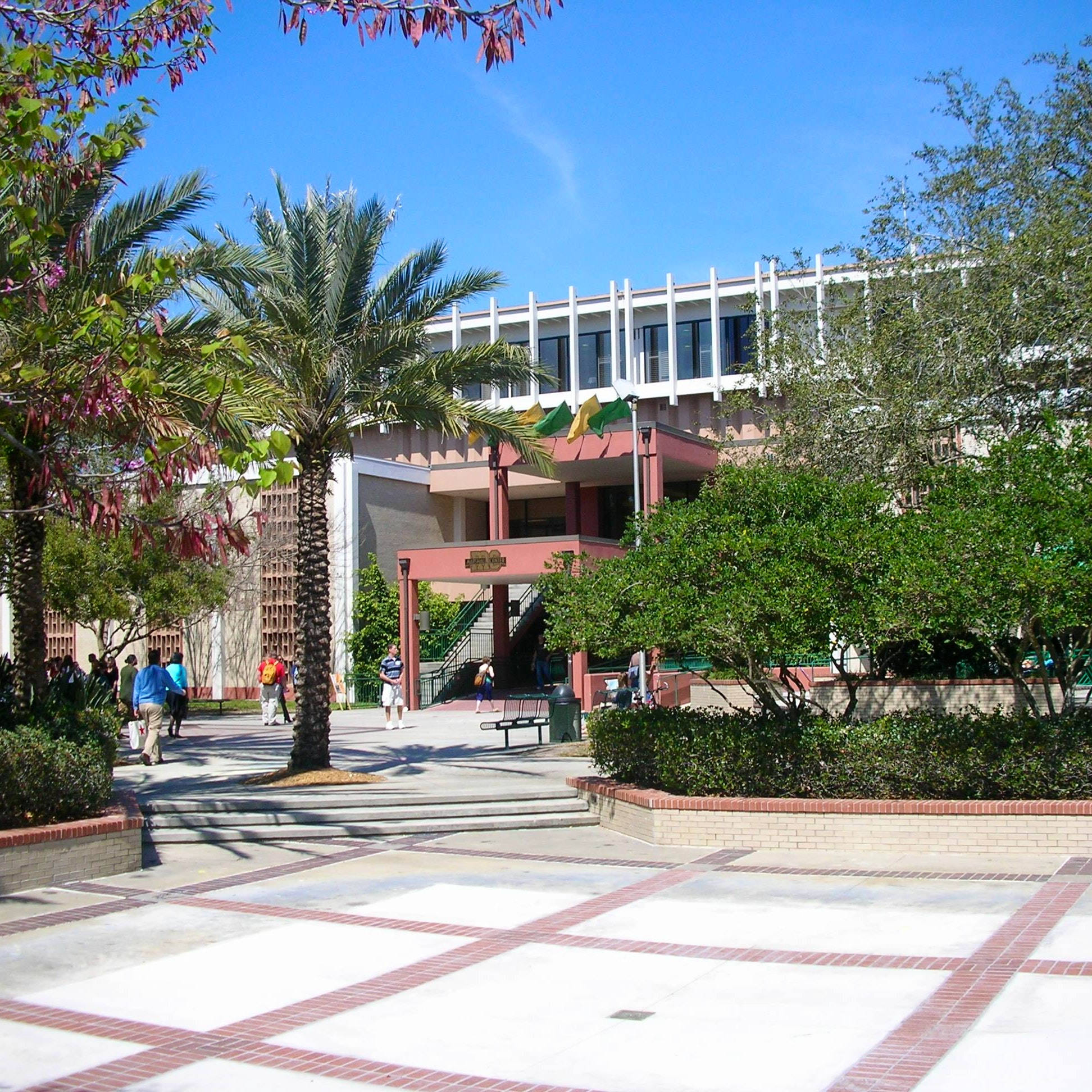 University Of South Florida, main campus, palm trees, Full HD Desktop Wallpaper