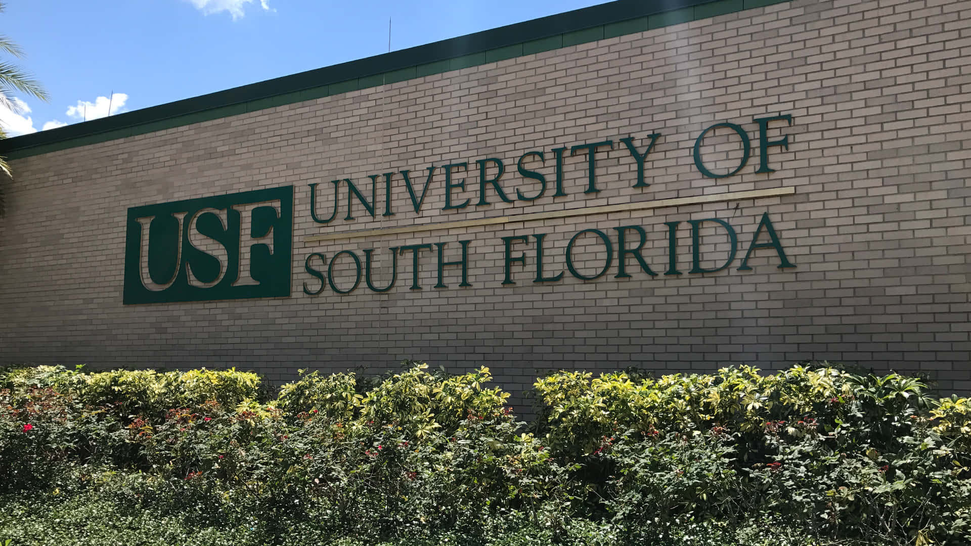 University Of South Florida, signage, brick wall, Full HD Desktop Wallpaper
