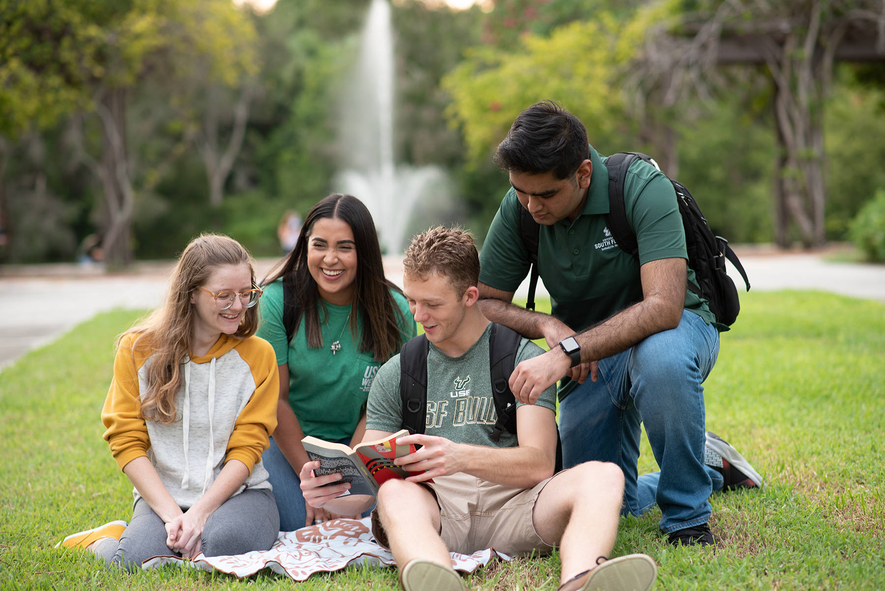 University Of South Florida, grass, fountain, HD Desktop Wallpaper