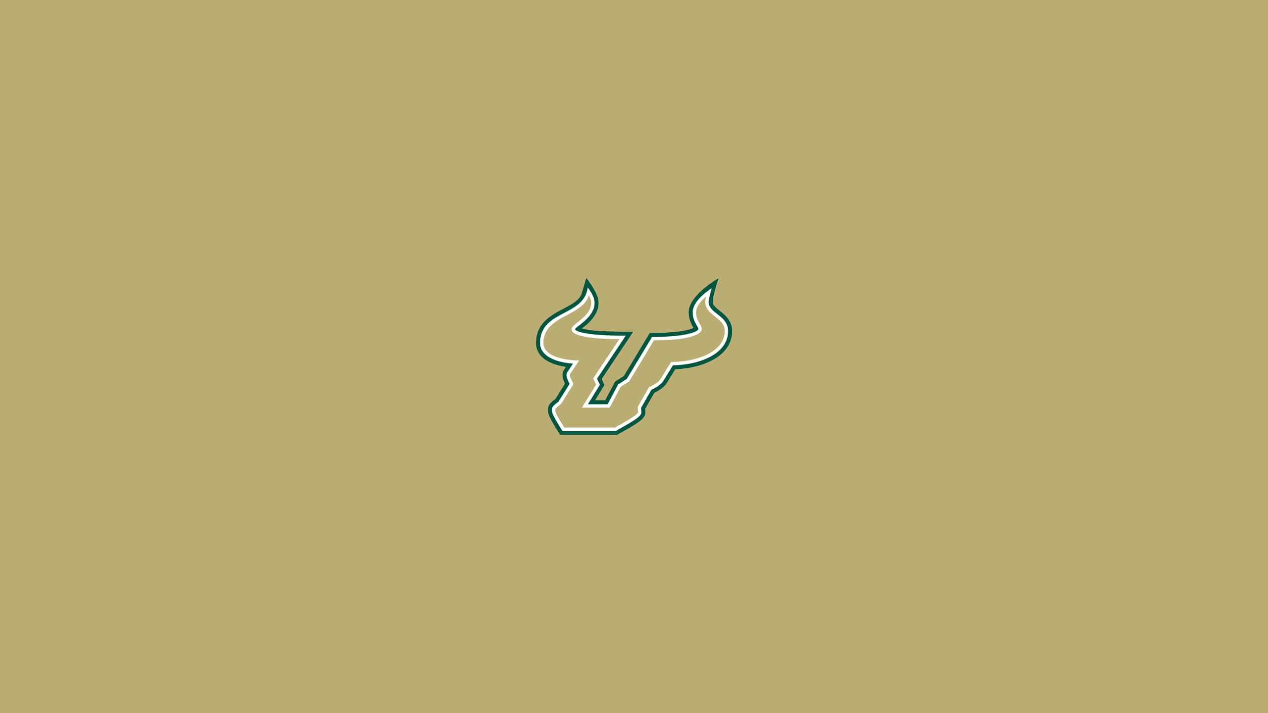 University Of South Florida, bull head logo, teal, 2K Desktop Wallpaper