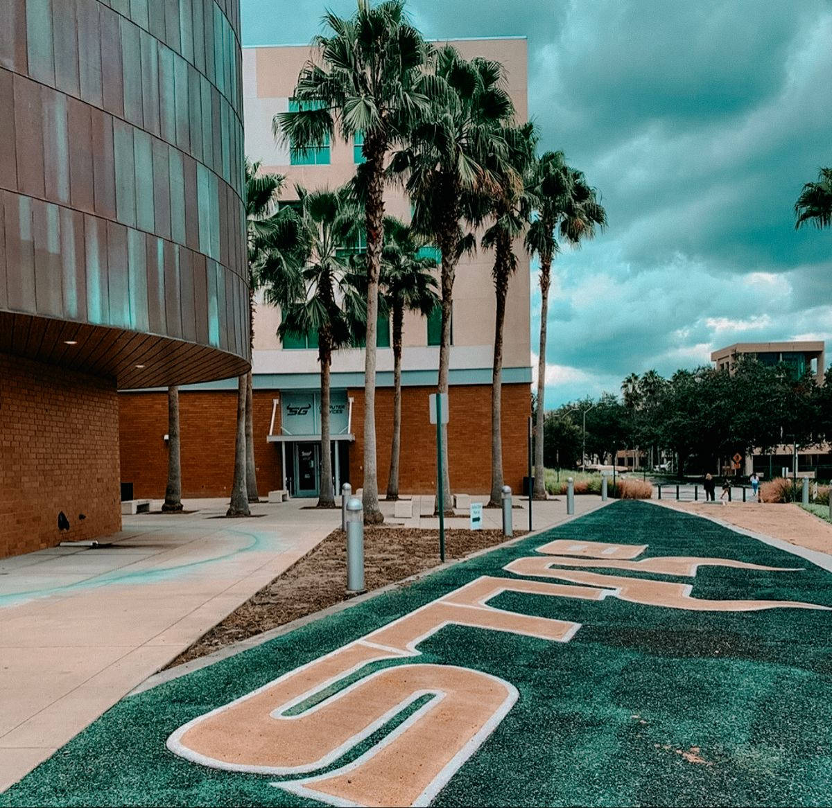 University Of South Florida, curved glass walls, palm trees, SD Desktop Wallpaper