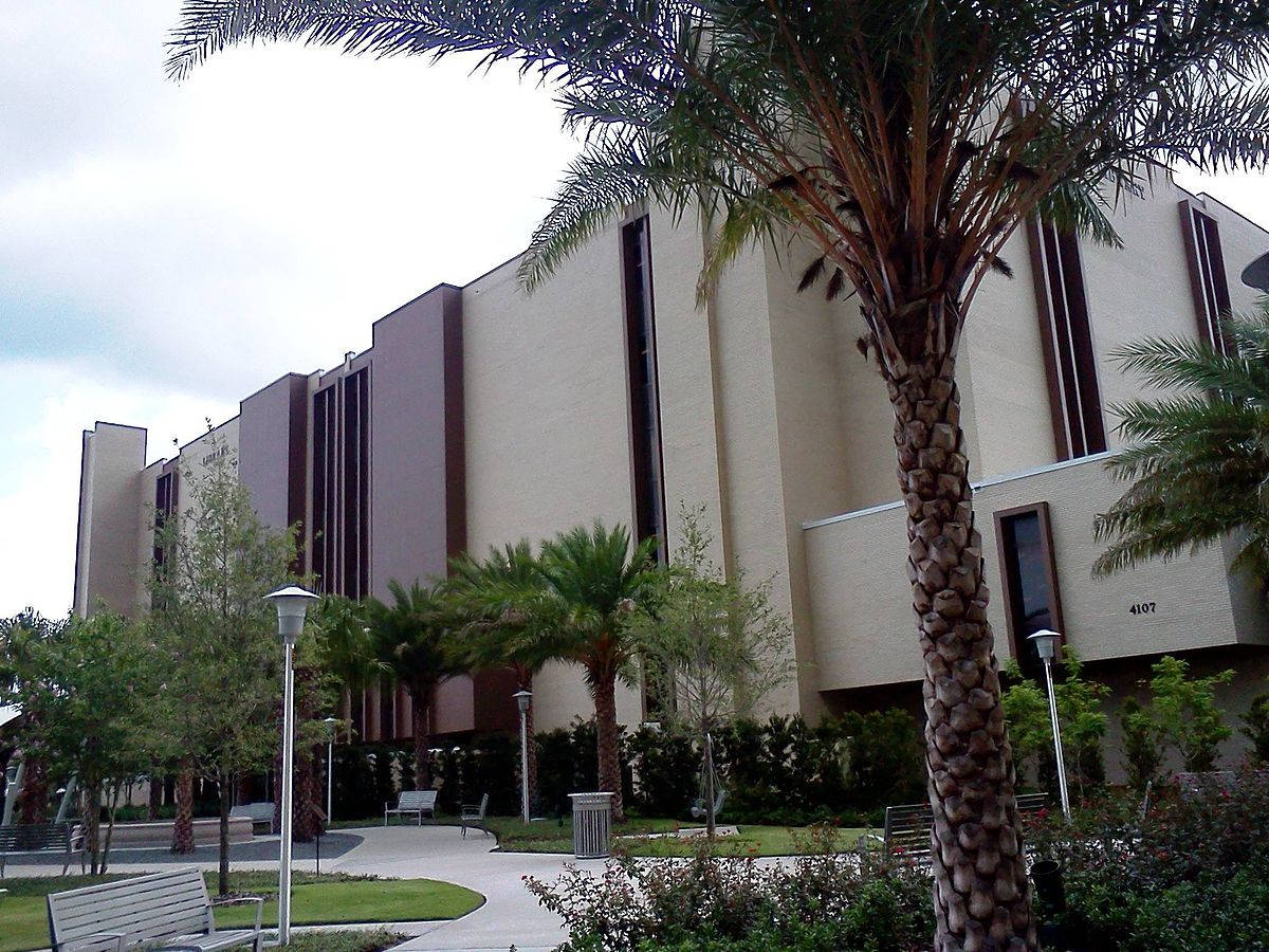 University Of South Florida, library, modern beige building, SD Desktop Wallpaper