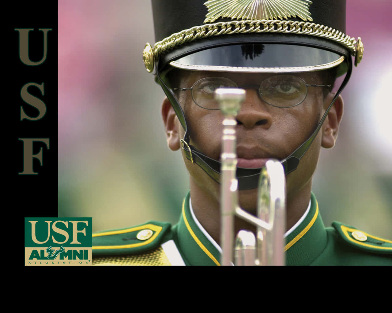 University of South Florida, marching band, green and gold uniform, HD Desktop Wallpaper